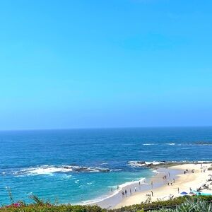 Meet your Posher, Judy